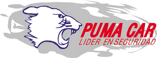 Pumacar Service